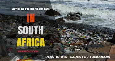Why South Africans Pay for Plastic Bags: Environmental Impact and Policy