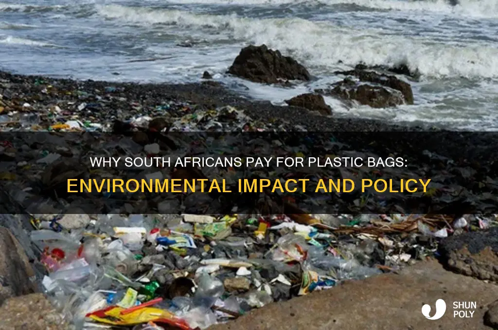 why do we pay for plastic bags in south africa
