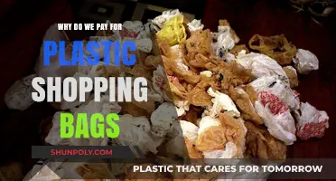 The Hidden Costs of Plastic Bags: Why We Still Pay
