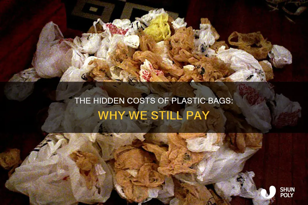 why do we pay for plastic shopping bags