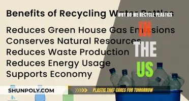The Importance of Recycling Plastics in the US