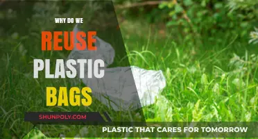 Eco-Friendly Habits: The Surprising Benefits of Reusing Plastic Bags