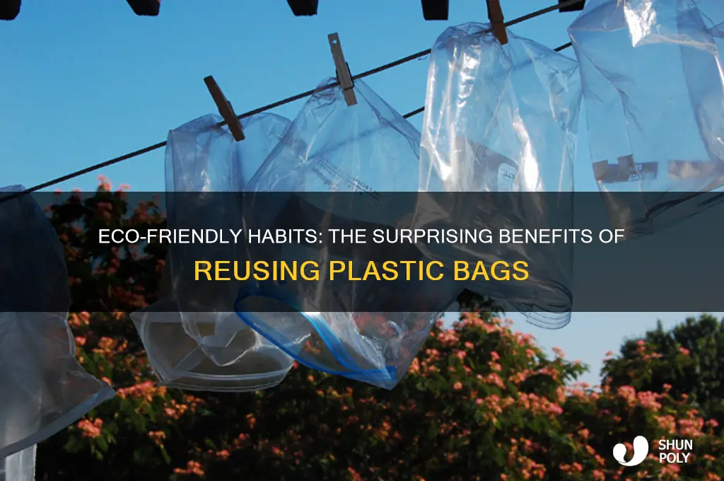 why do we reuse plastic bags