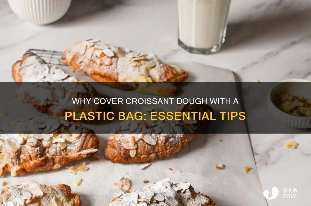 why do you cover croissant dough plastic bag
