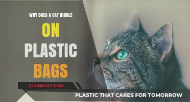 Why Cats Nibble on Plastic Bags: Unraveling the Feline Fascination