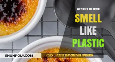 Air Fryer Plastic Smell: Why and How to Fix It