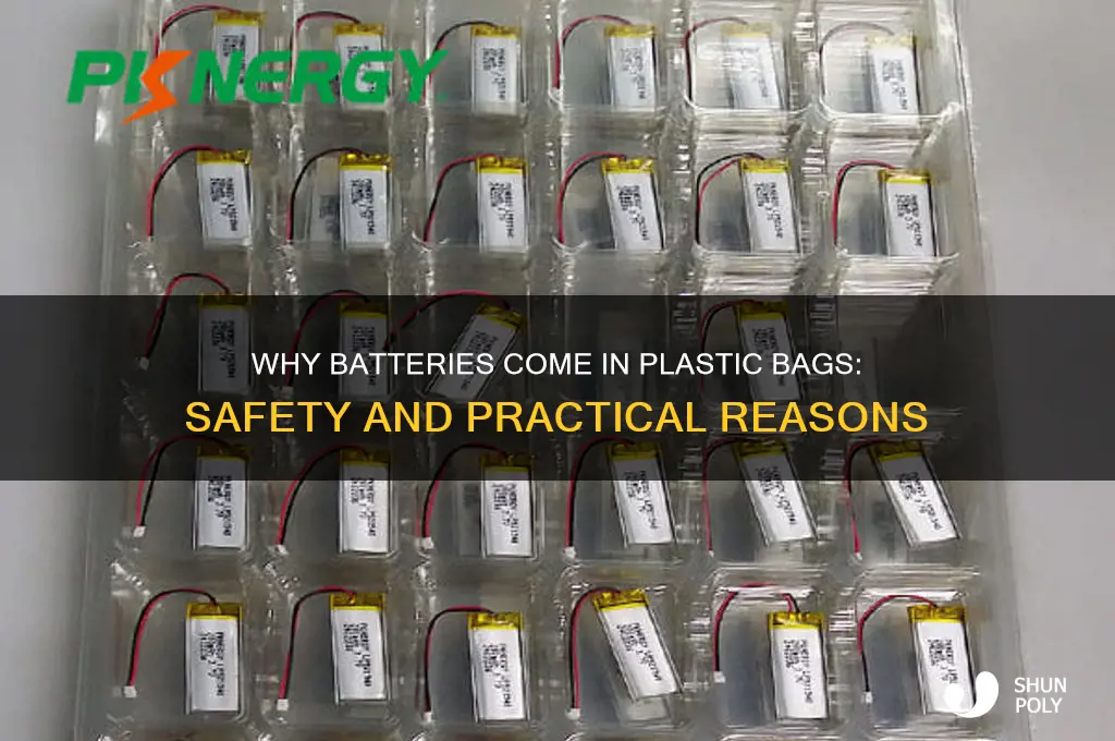 why does battery have plastic bag