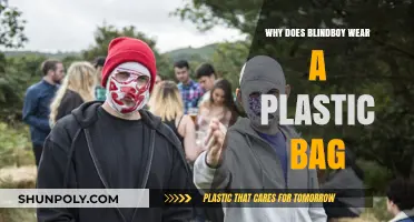Why Blindboy Wears a Plastic Bag: Unveiling the Mystery
