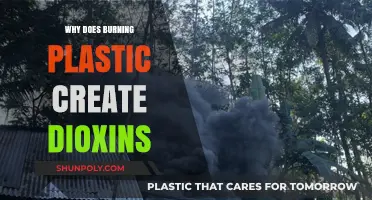 How Burning Plastic Produces Dioxins