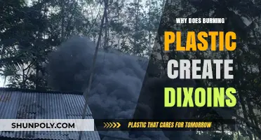 Plastic Burning: Dioxins and Health Hazards