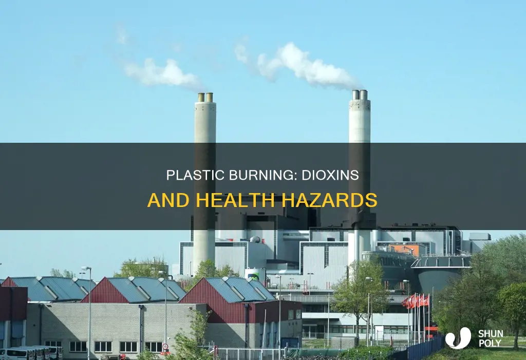 why does burning plastic create dixoins