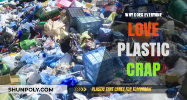 The Allure of Plastic Crap: Why We Love It