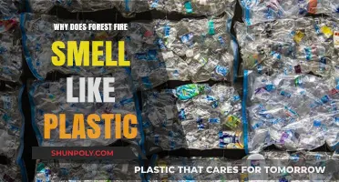 Forest Fire's Plastic Smell: Why Does it Happen?