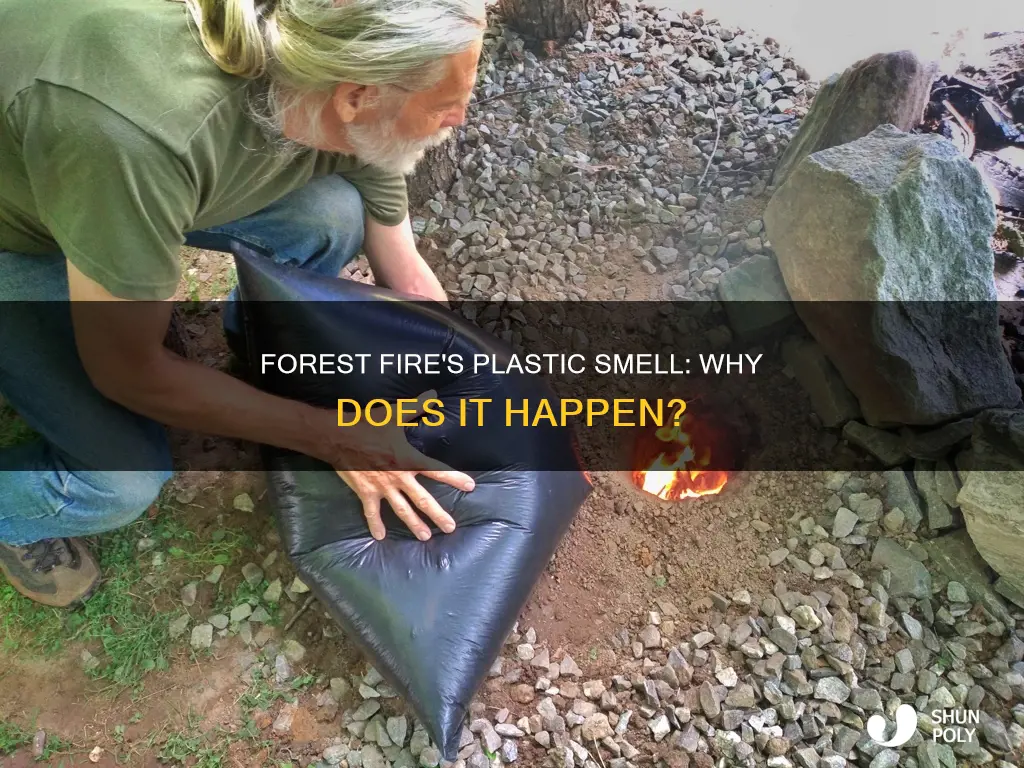 why does forest fire smell like plastic