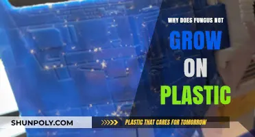 How Plastic Prevents Fungal Growth