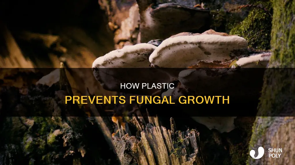 why does fungus not grow on plastic