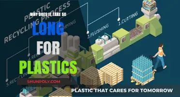 Unraveling the Mystery: Why Plastic Recycling Takes Time