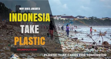 Jakarta's Plastic Predicament: Understanding the Environmental Challenge