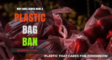 Kenya's Plastic Bag Ban: Environmental Impact and Sustainable Alternatives
