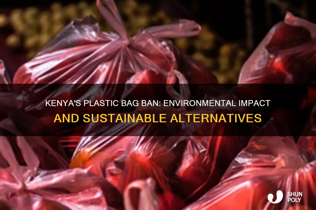 Kenya's Plastic Bag Ban: Environmental Impact And Sustainable