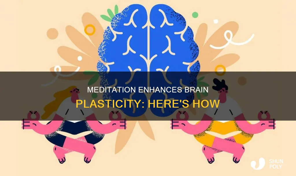 why does meditation increase your neralogical plasticity