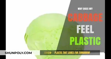 Unraveling the Mystery of Plastic-Like Cabbage