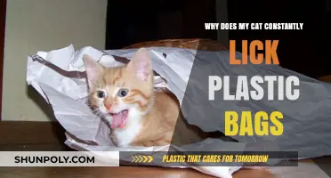 Why Cats Obsessively Lick Plastic Bags: Uncovering Feline Curiosity
