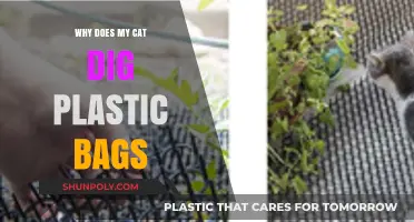 Why Cats Dig Plastic Bags: Uncovering the Fascinating Feline Behavior