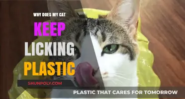 The Strange Plastic-Licking Habit of Cats Explained