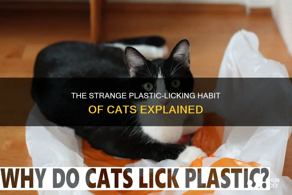 why does my cat keep licking plastic