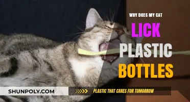 Why Cats Lick Plastic Bottles: Unraveling the Curious Feline Behavior
