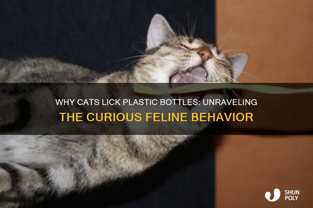why does my cat lick plastic bottles