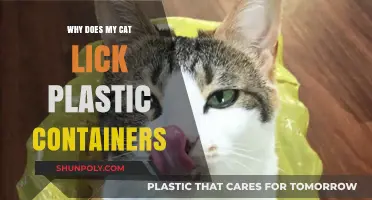 Cat's Strange Plastic Lick: Why Do They Do It?