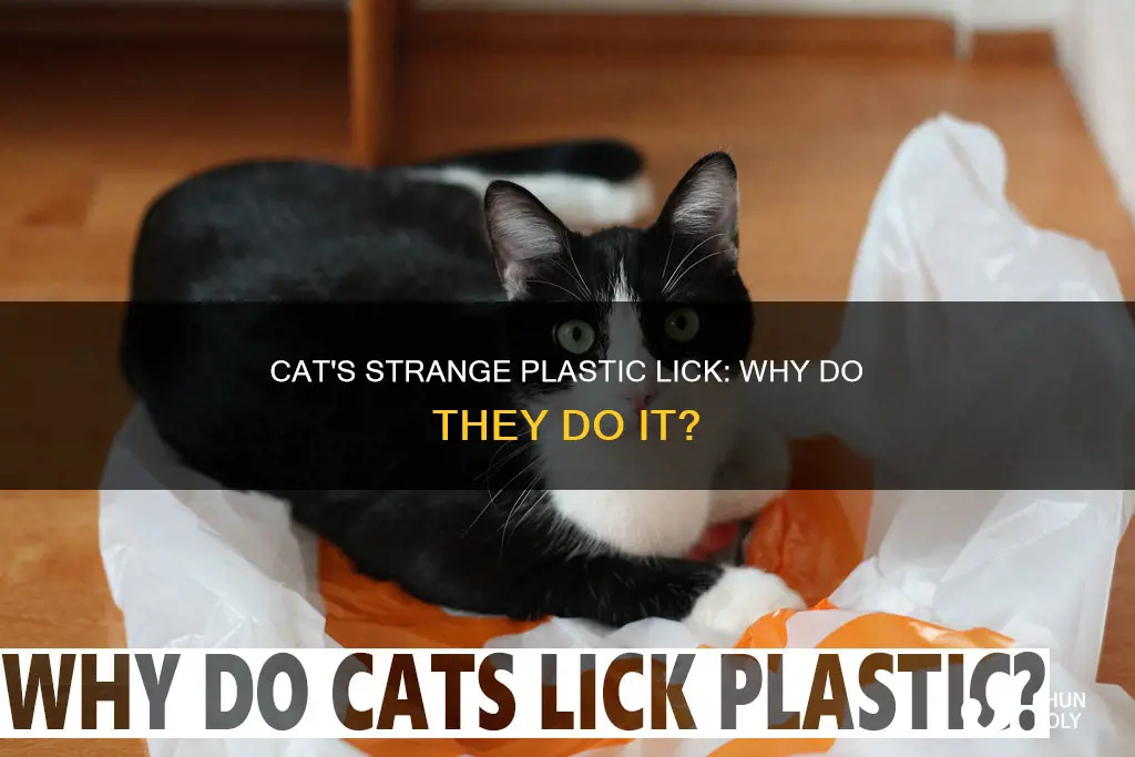 why does my cat lick plastic containers