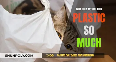 The Plastic-Licking Cat: Why This Unusual Behavior?