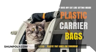Why Cats Love Plastic Bags: Unpacking Feline Fascination