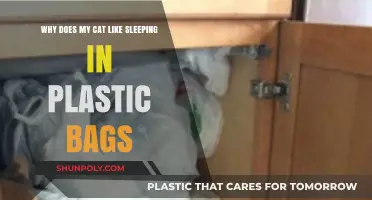 Why Cats Love Plastic Bags: Uncovering Their Cozy Obsession