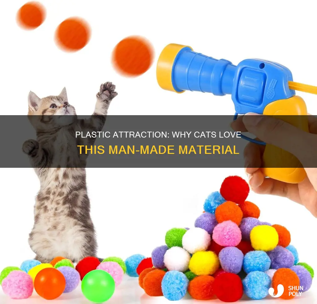 why does my cat love plastic