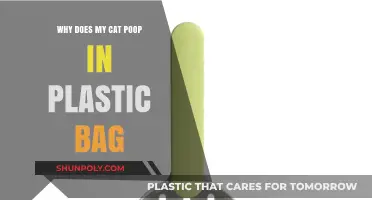 Why Cats Choose Plastic Bags for Pooping: Uncovering Feline Behavior