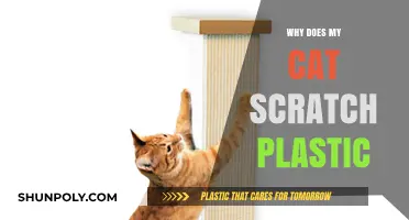 Understanding Your Cat's Plastic Scratching Behavior