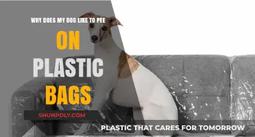 Why Dogs Prefer Plastic Bags for Peeing: Uncovering the Canine Mystery