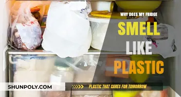 Fridge Odor: Why the Plastic Smell?