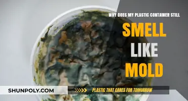 How to Remove Mold Smell from Plastic Containers