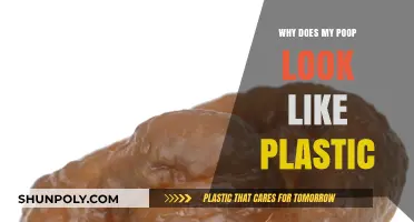 What Makes Your Poop Look Like Plastic?
