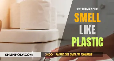 Poop Smells Like Plastic: Why Does This Happen?