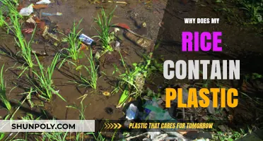The Mystery of Plastic-Like Rice: What's in Our Food?