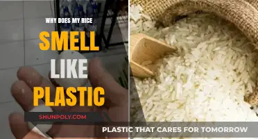 Plastic-like Rice: Why Does It Happen?