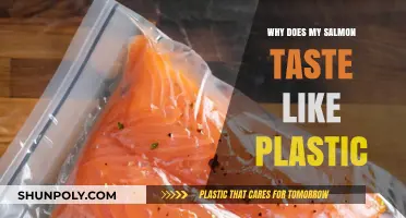 Salmon's Plastic Taste: Why It Happens and How to Avoid It