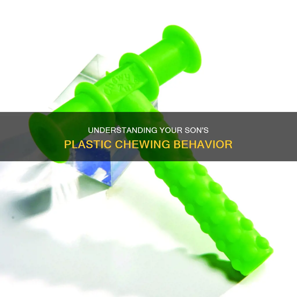 why does my son chew on plastic