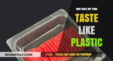 Tuna's Plastic Taste: Why Does it Happen?
